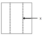 hidden line
